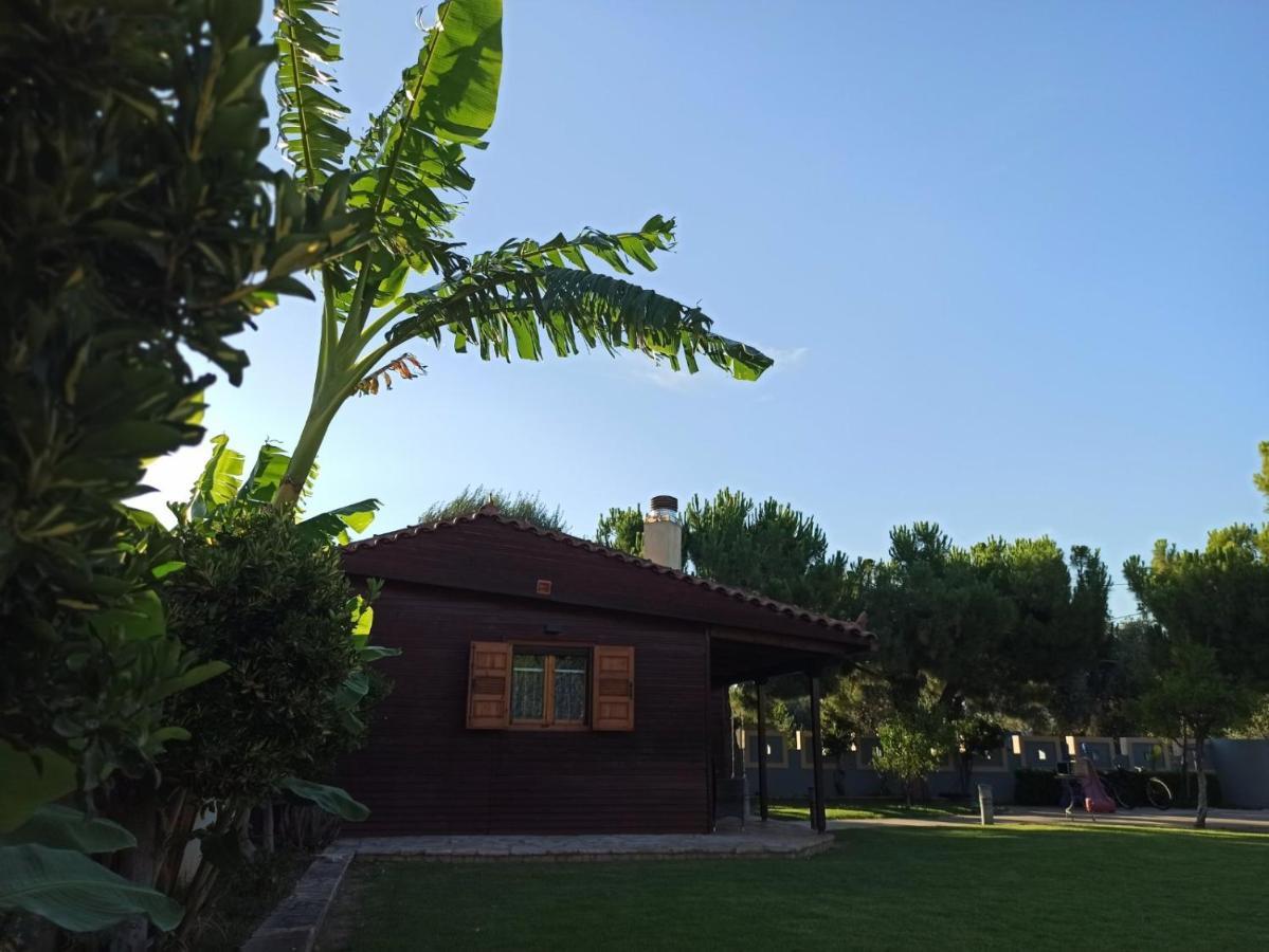 Aliki Guest House Aigio Exteriör bild